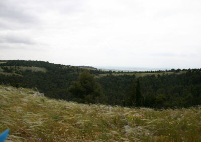 I luoghi